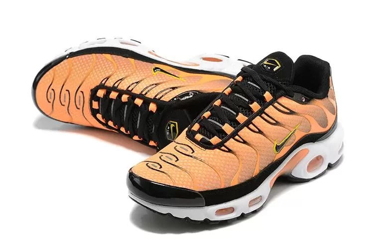 Air Max Plus TN 1 “Boasts Big”